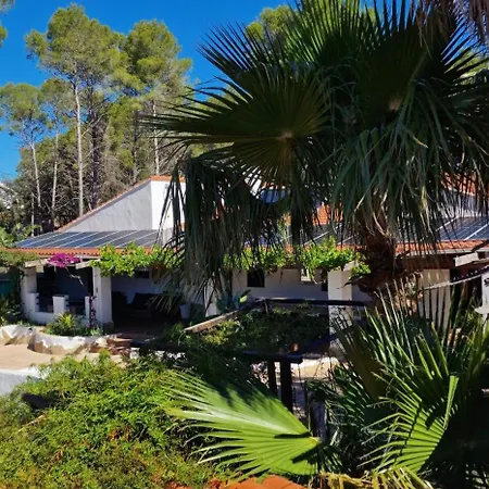 Casa Azahara Your Valencian